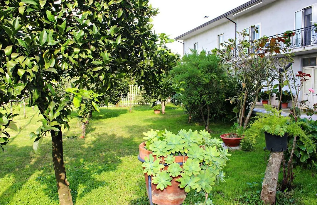 Il Moro Bianco-1