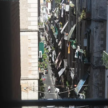 Alvarez De Toledo-2