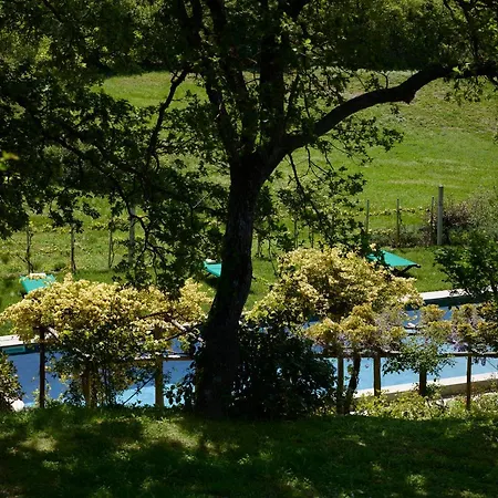 Montauto Suites-2