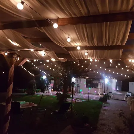 L'albero Del Pepe-2