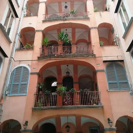 Domusrealstella-2