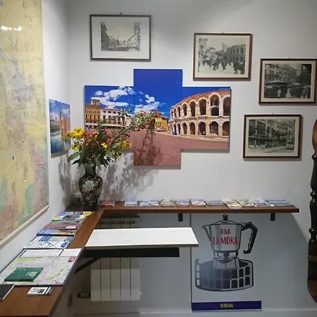 Lamoka Verona-3