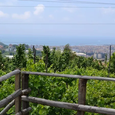 B&B Green Valley-2