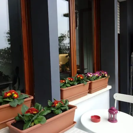 B&B Xenia-3