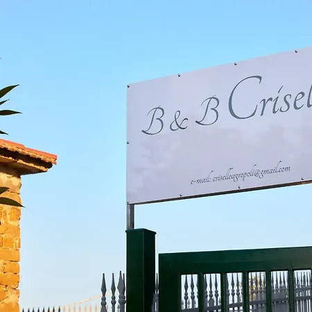 Criselle-2