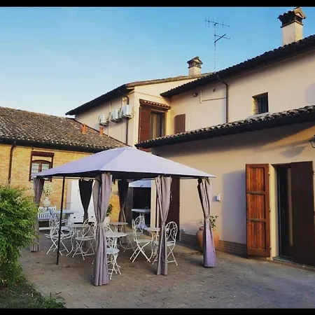 B&B Tenuta Madiba-2