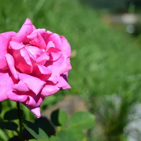 B&B Valtili-2