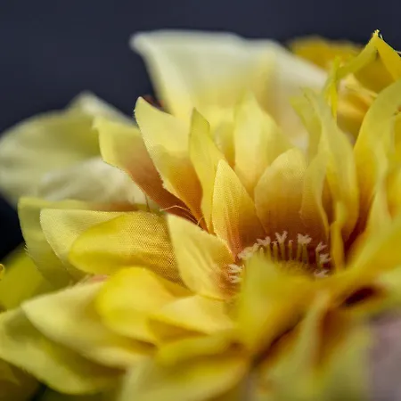 Le Stanze dei Fiori-2