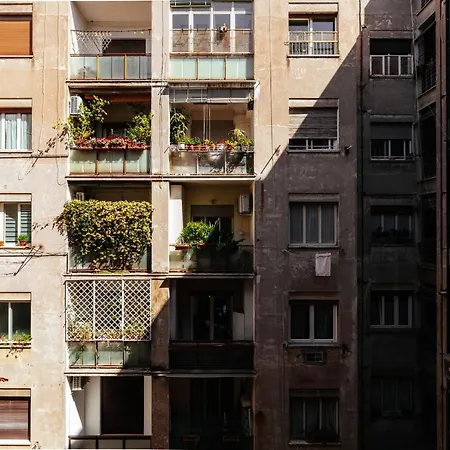 Residenza Il Giglio-3