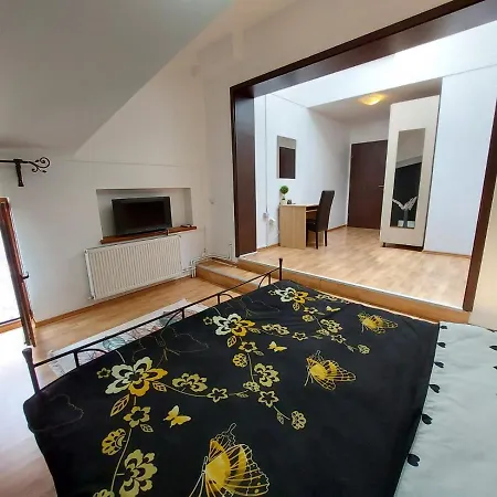 Happy Accomodation-3