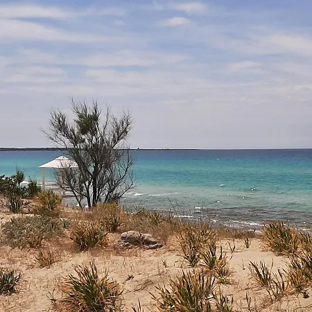 Medusa Gallipoli-3