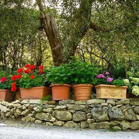 B&B Villa Giulia-2