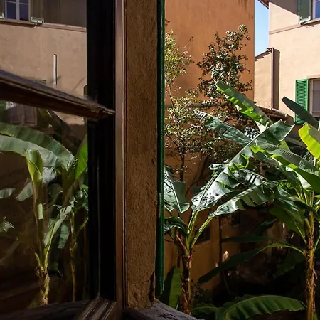 Coco Places Soggiorno Panerai, Centro Storico-3