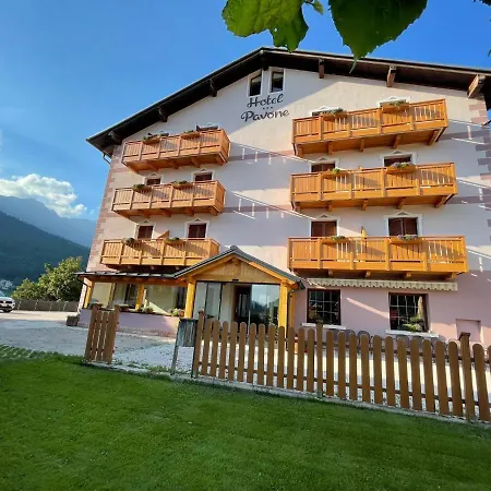 Hotel Pavone-3