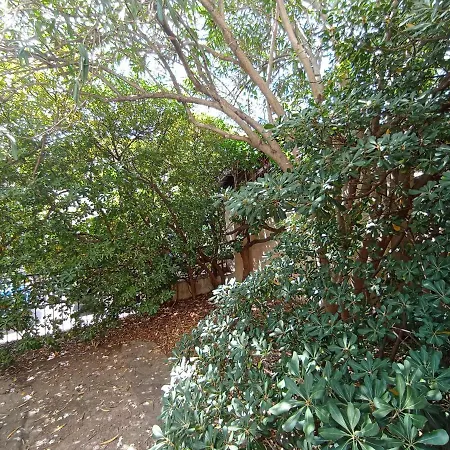 Domus Garden-2