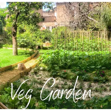 Casa Vayu - Rooms & Garden-3