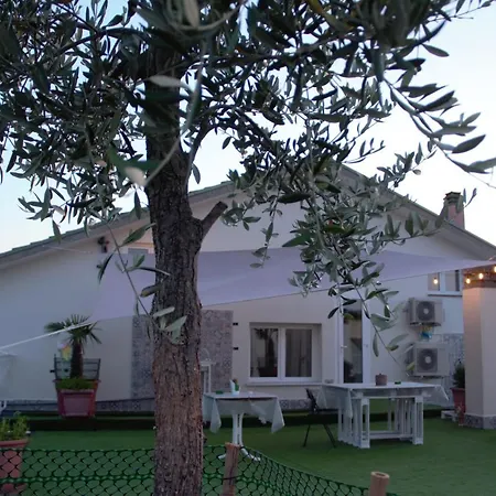 Terrazza Zalamella Bed&Breakfast-2