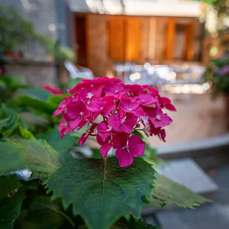 B&B La Gatta Blu-2