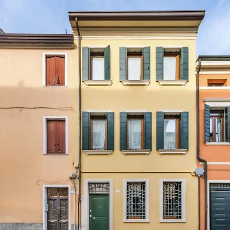 Domus Color-2