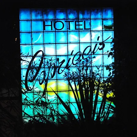 Hotel Capriccio-2