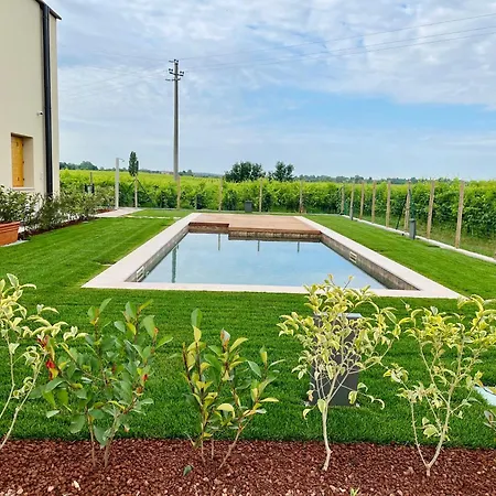 B&B Il Vigneto-3