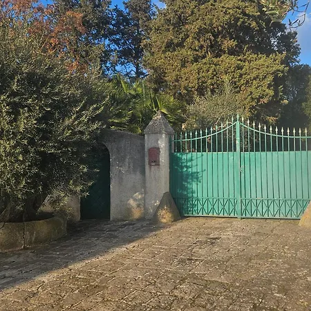 La Pineta-2