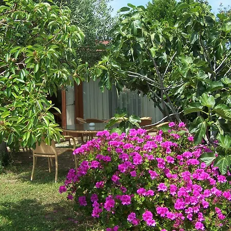 Hotel Club Ragno D'oro-3
