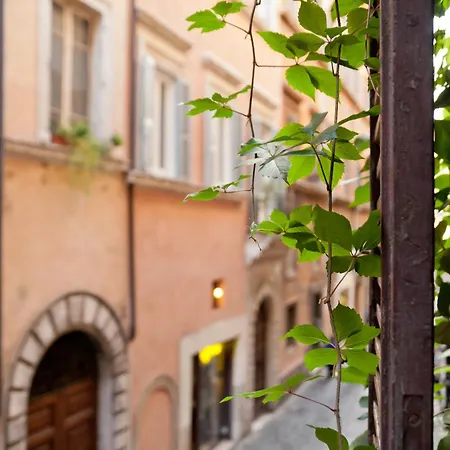 Baldassini Suites-3