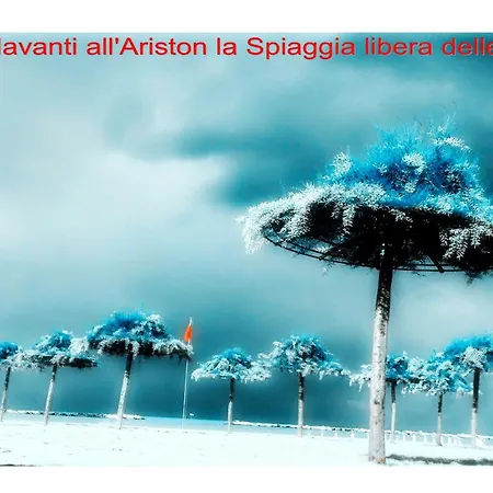 Hotel Ariston-3