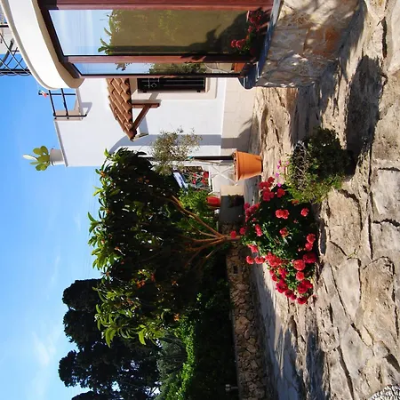 B&B Terra Marique-2