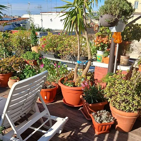 La Terrazza ai Miracoli-2