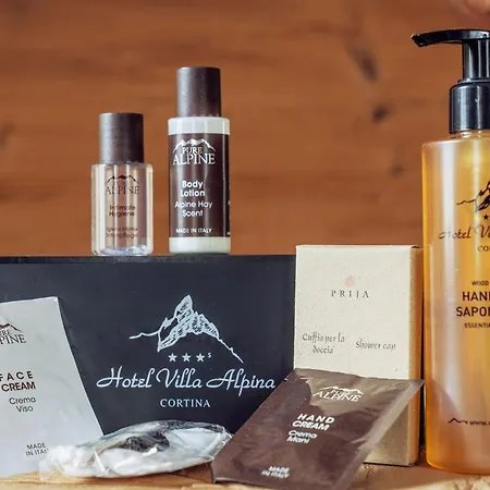 Hotel Villa Alpina ***S-3
