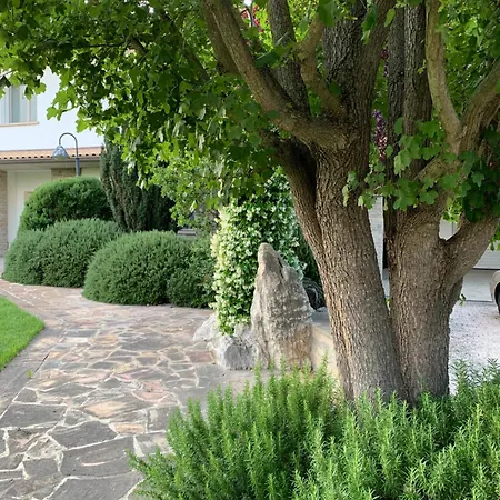 B&B Beauty House - Jacuzzi - Giardino privato-3
