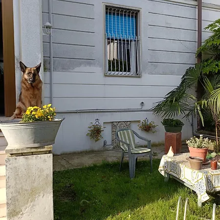 B&B Mavipagi-3