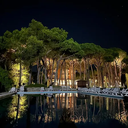 Hotel Beau Rivage Pineta-2