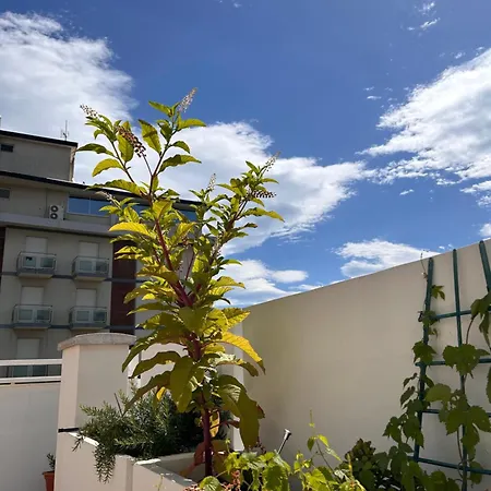 Residence Siesta-3