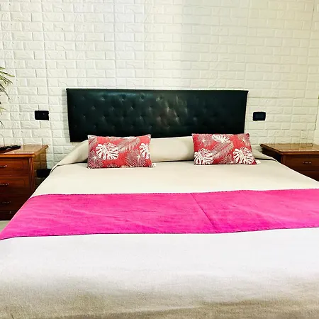 The Comfort Apartment-2