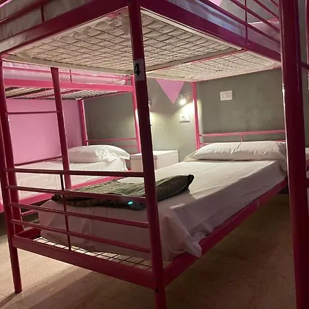 Lion Guesthouse-3