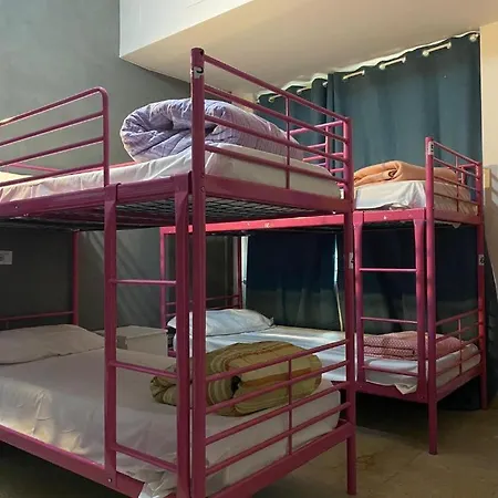 Lion Guesthouse-2