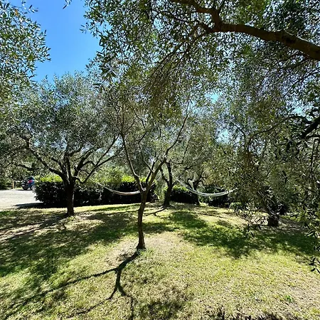 Agriturismo Uliveto Bartolomeo-3