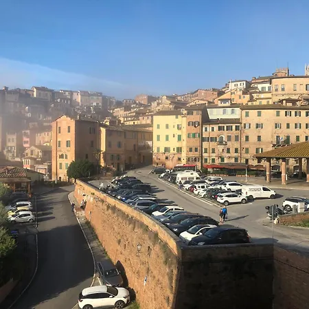 Salicotto 56-3