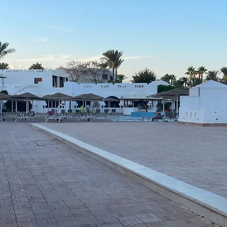 Harem At Coral Bay-2