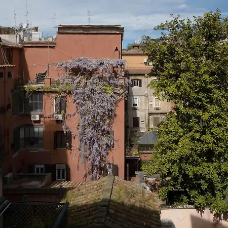 Agh Babuino-3