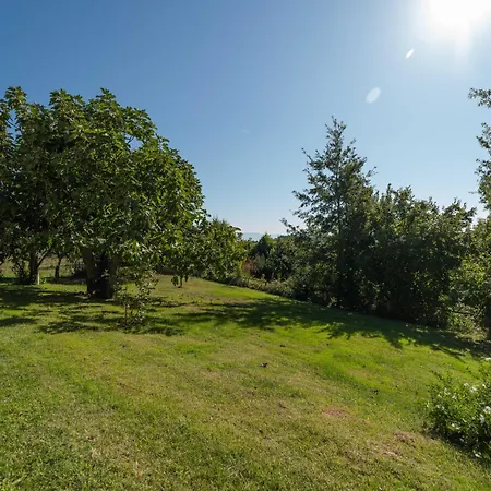 Poggio delle Ginestre-2