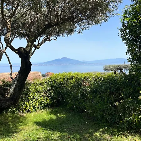 Sorrento Garden-3