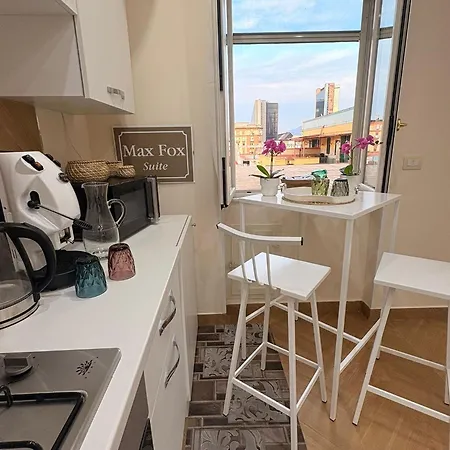 Max Fox Suite-3