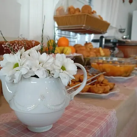 Hotel Santo Antonio De Fatima-3