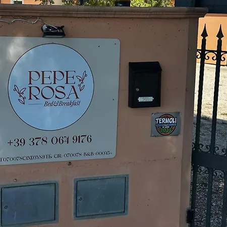 Pepe Rosa-3