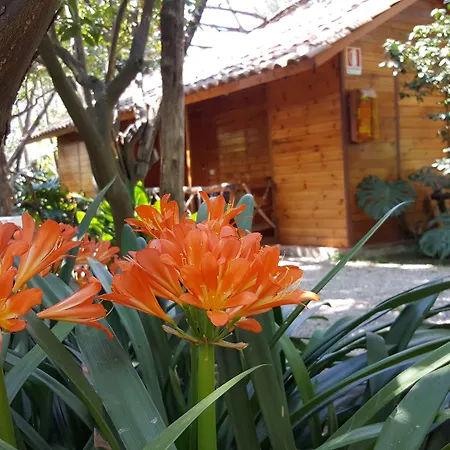 Residence Villaggio Verde-2