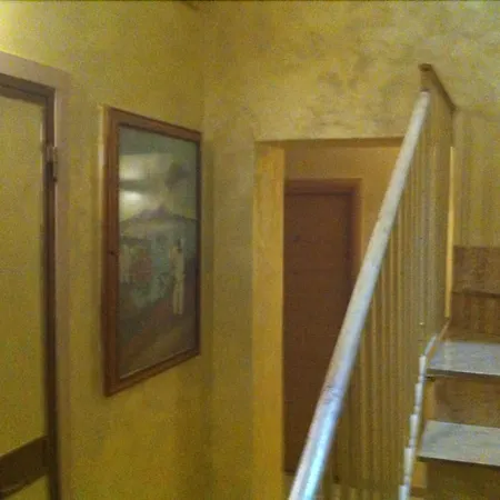 Hotel Viola-3